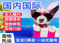 昭苏天马航空货运国际宠物托运 【国